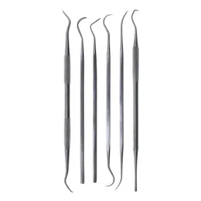 6pc General Purpose Pick Set