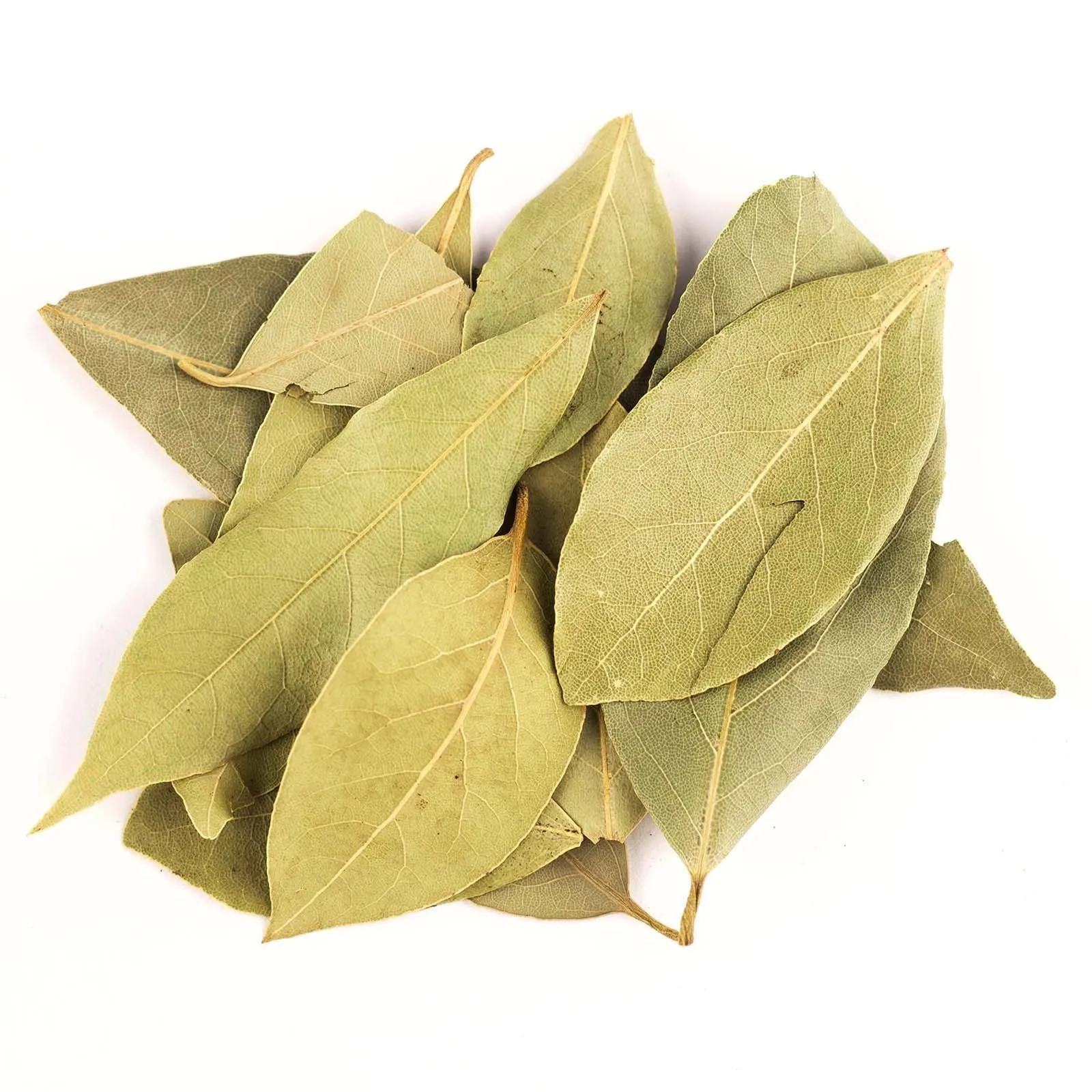 Bay Leaf