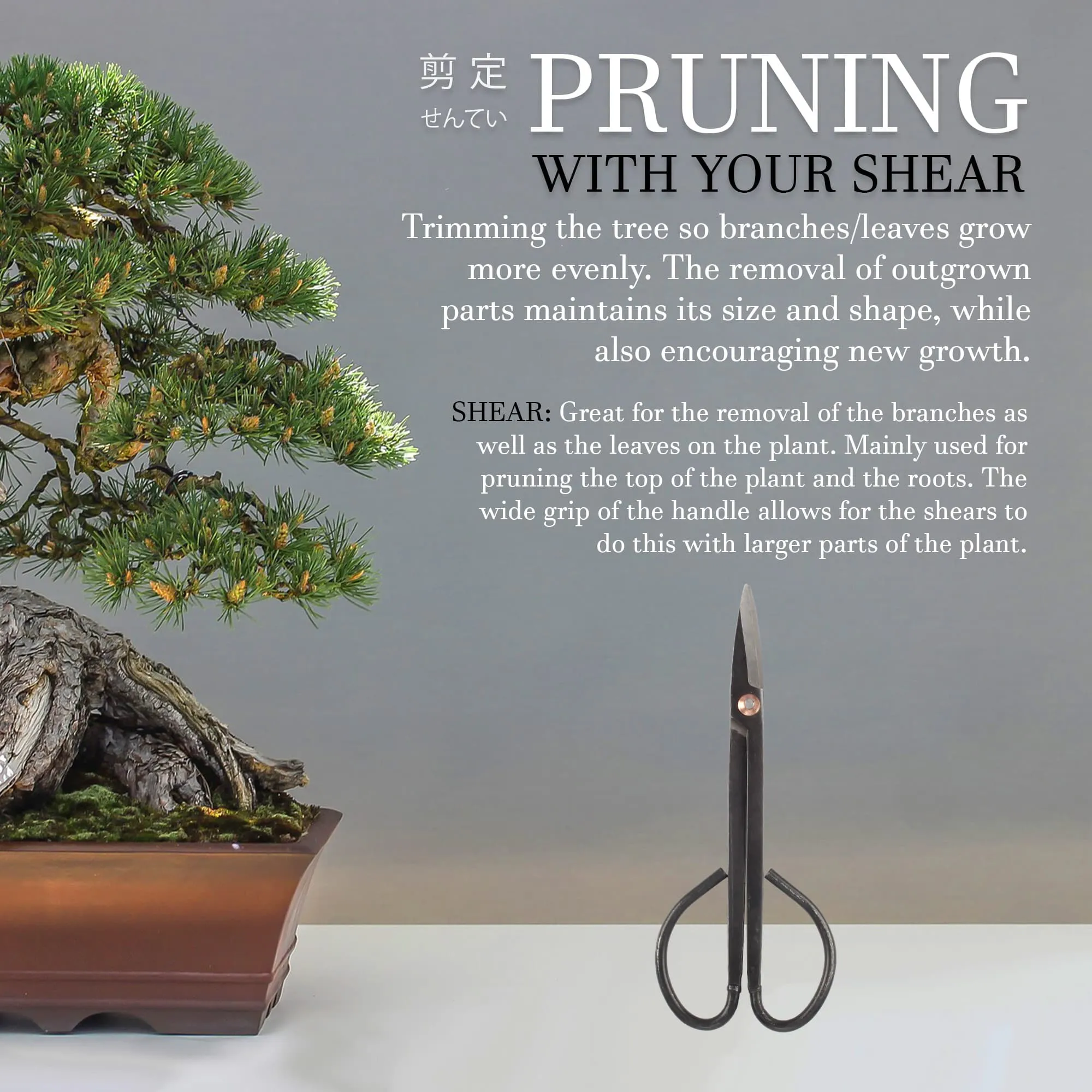 Bonsai 7.2" Trimming Shear