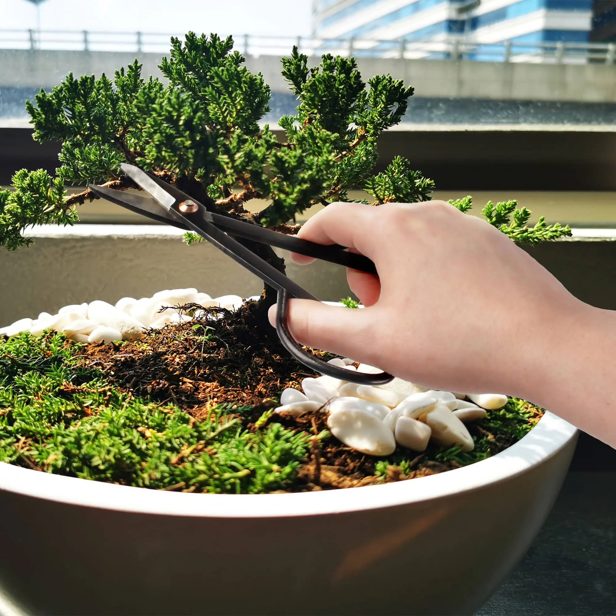 Bonsai 7.2" Trimming Shear