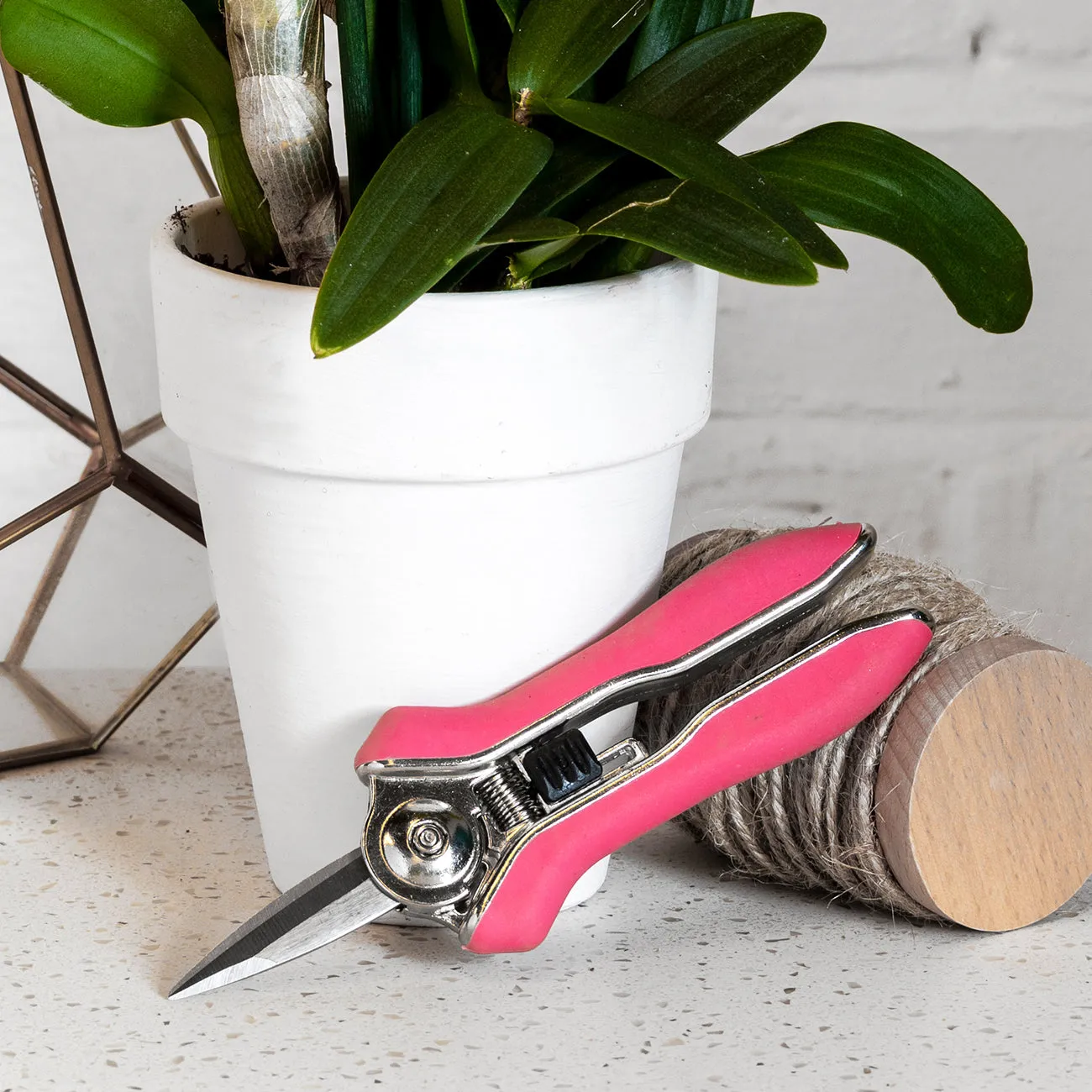 Burgon & Ball Orchid Snips