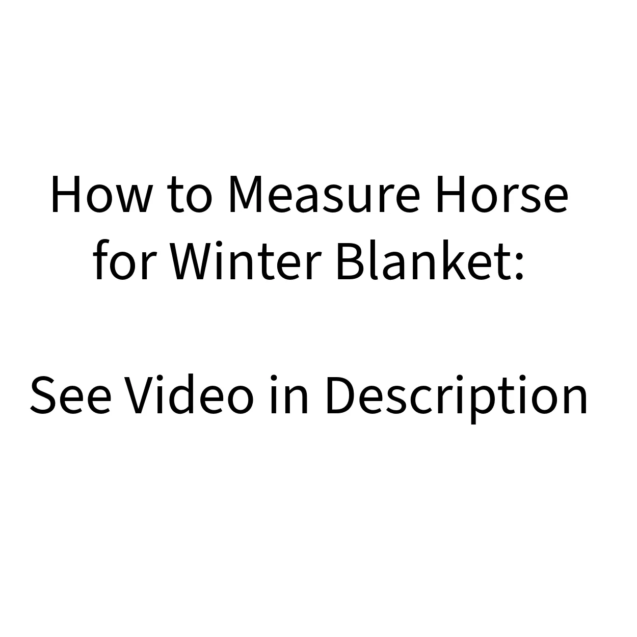 Derby Originals West Coast 600D Heavy Weight Waterproof Winter Horse Turnout Blanket 300g with 1 Year Warranty