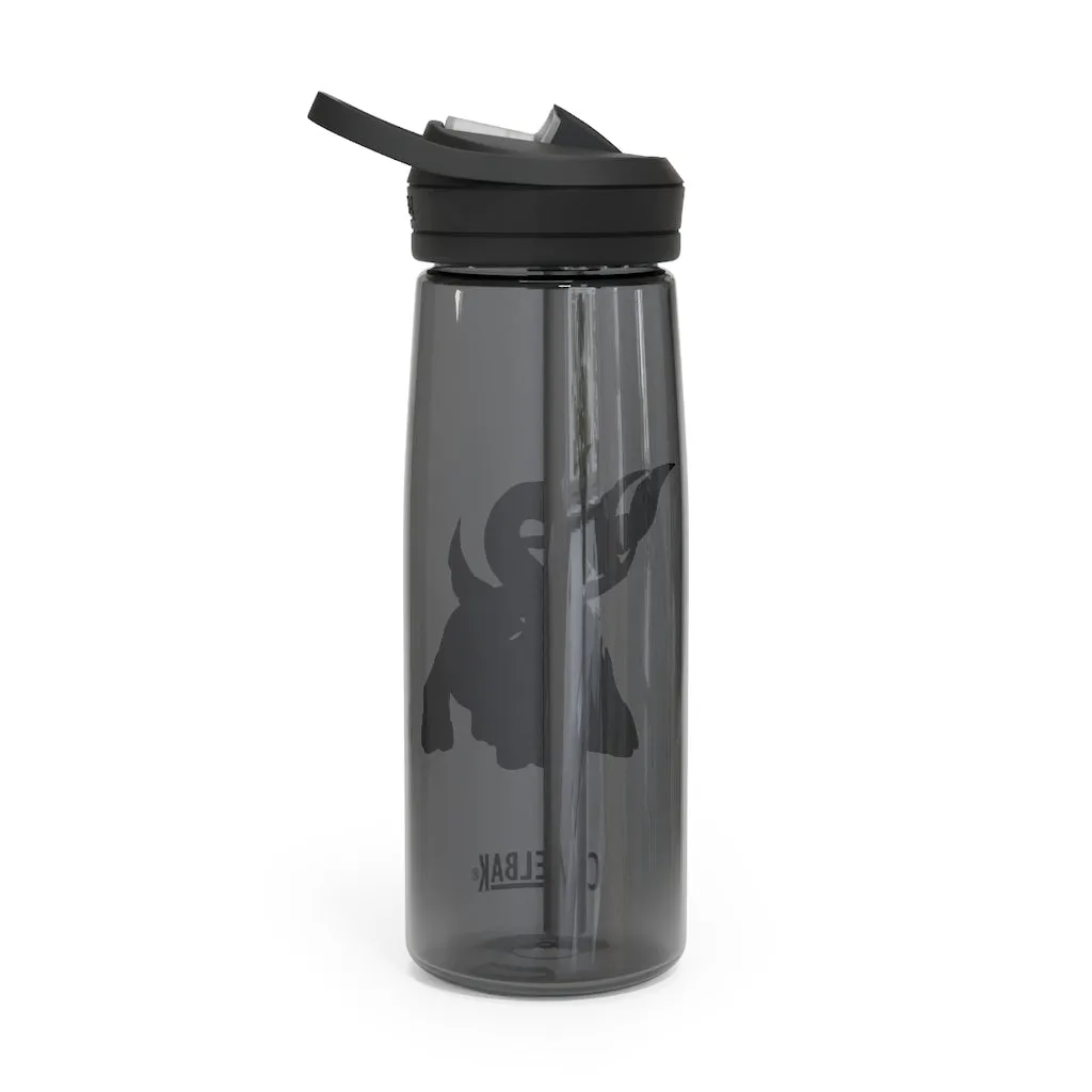 Dragigas CamelBak Eddy®  Water Bottle, 20oz / 25oz