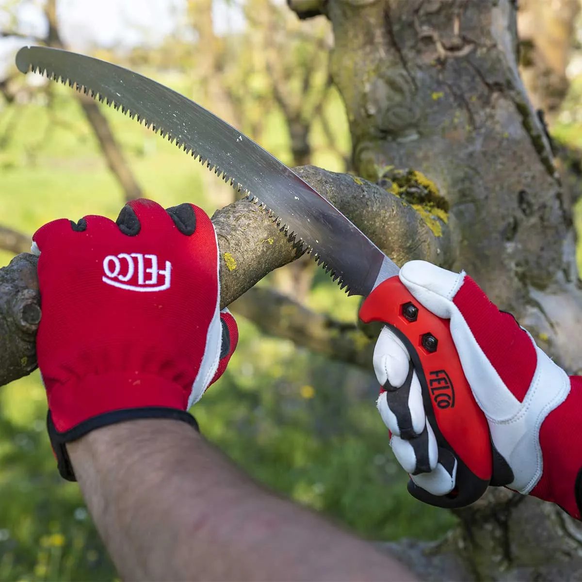 FELCO 630 & 640 Pruning Saws