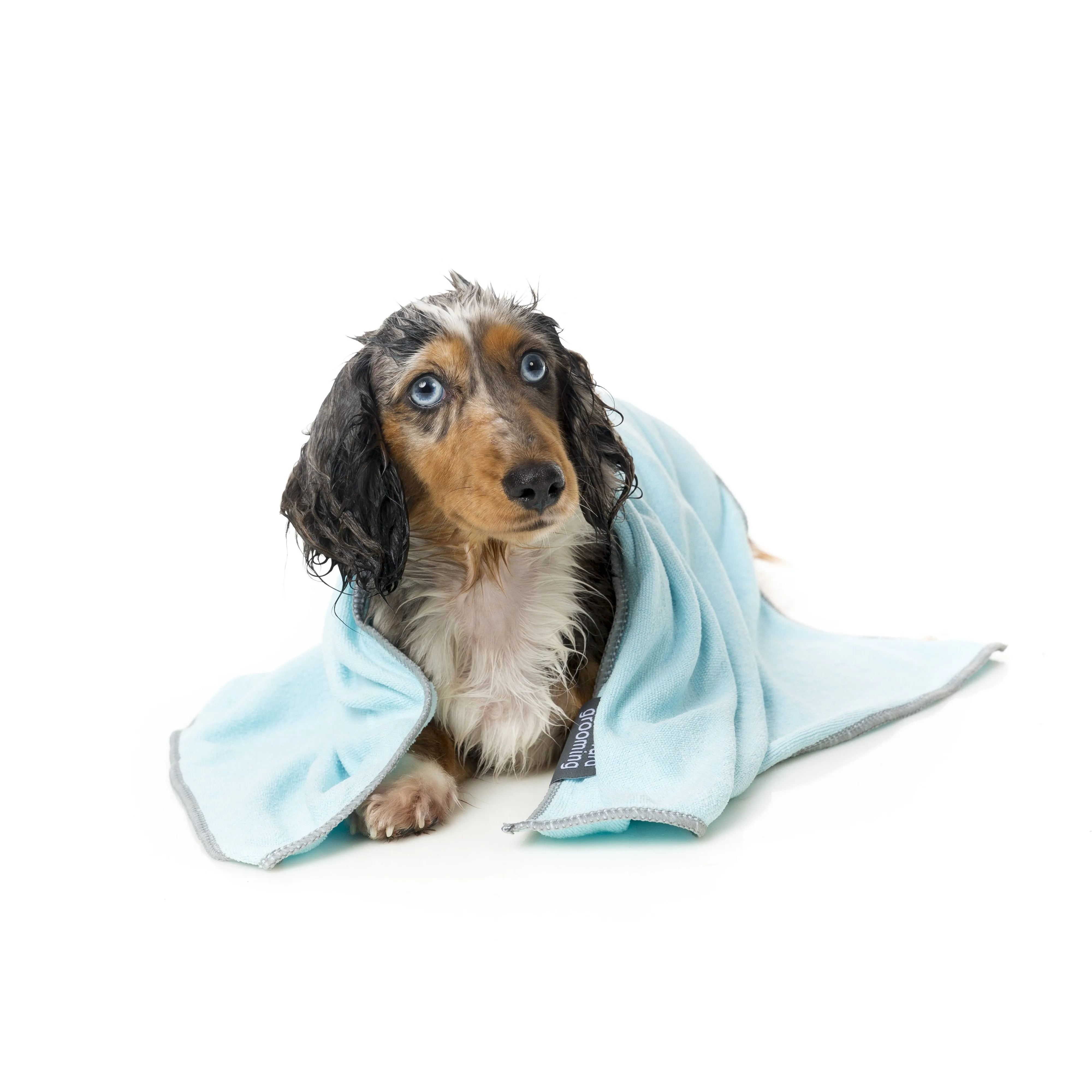 FuzzYard Microfibre Puppy Drying Towel Blue with Grey Trim