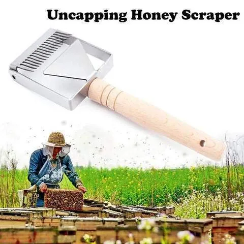 Honeybee - the honey uncapping scraper - stainless steel honey scraper