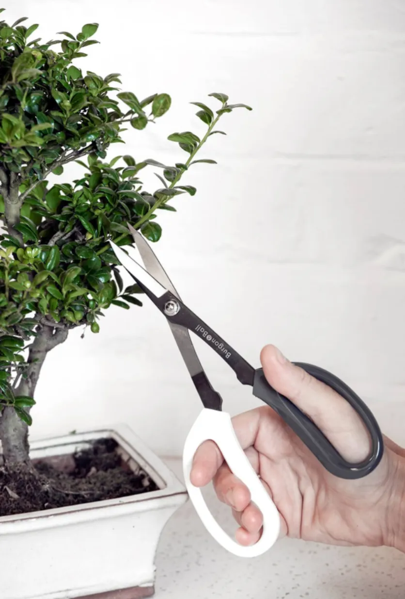 Japanese Pruning Scissors