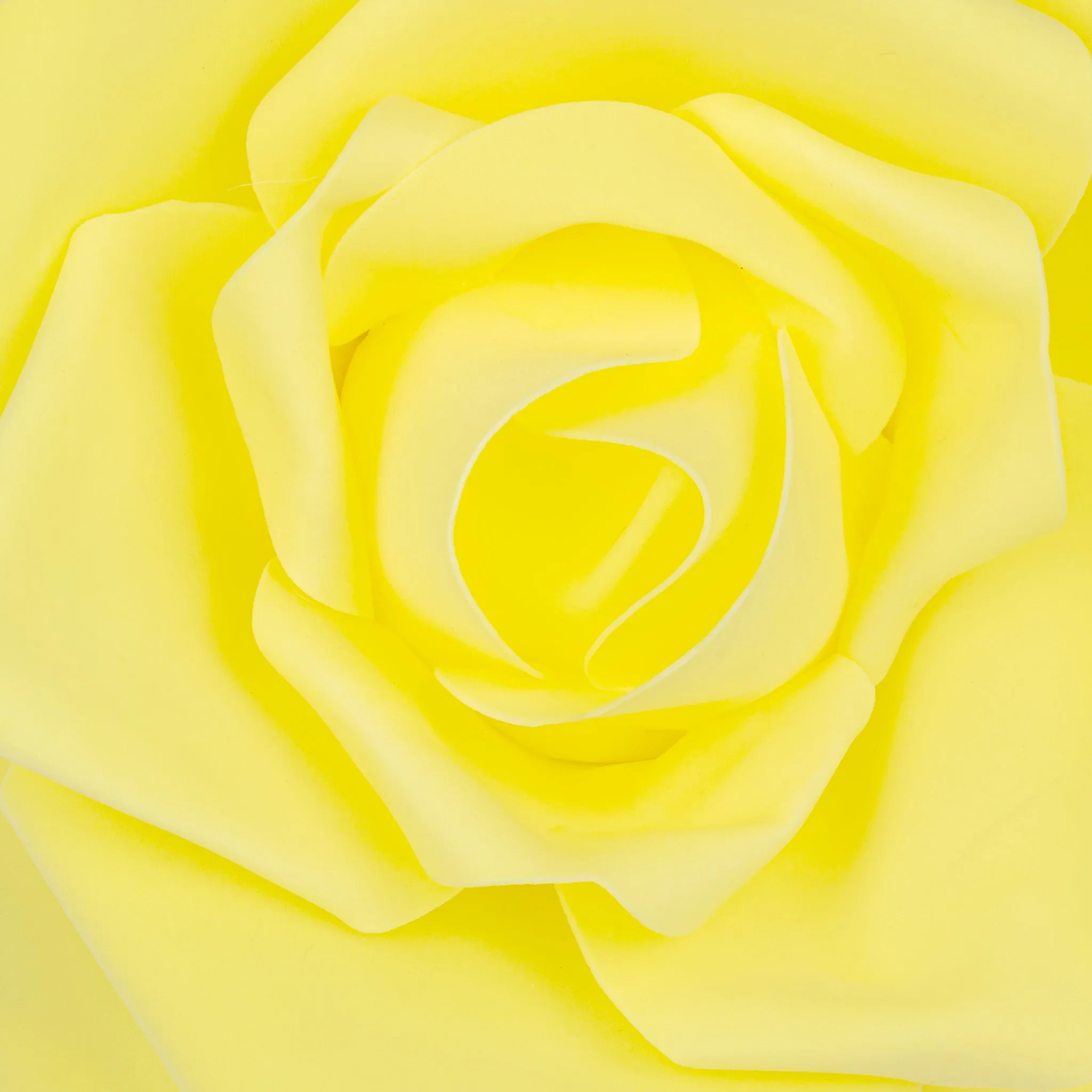 Large Foam Rose Wall  Decor 30 cm - Yellow