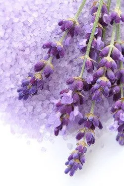 Lavender Buds Whole