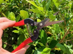 Plant Pruning Snips