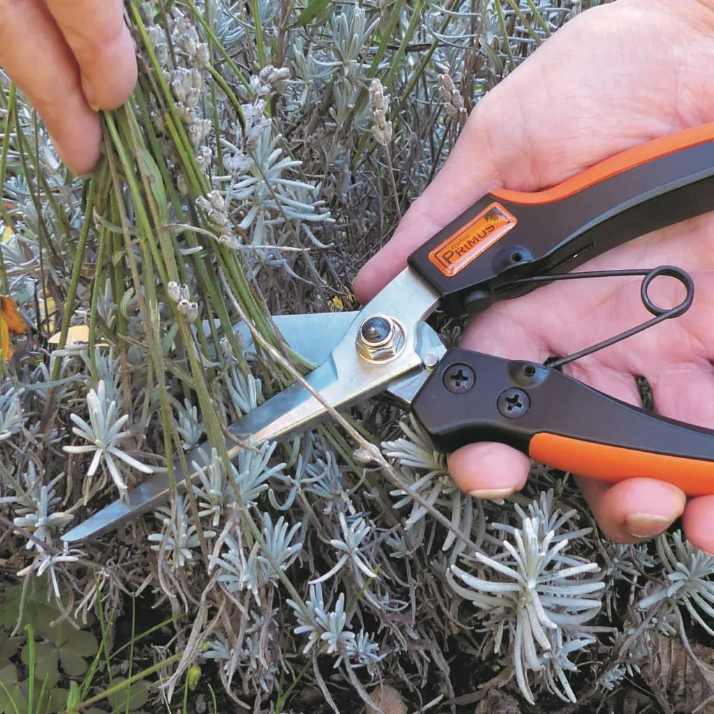 Pruner Herbs and Shrubs GP1050