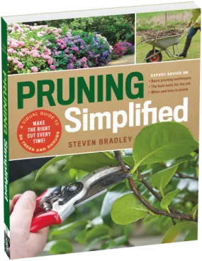 Pruning Simplified