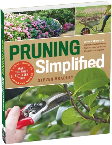 Pruning Simplified