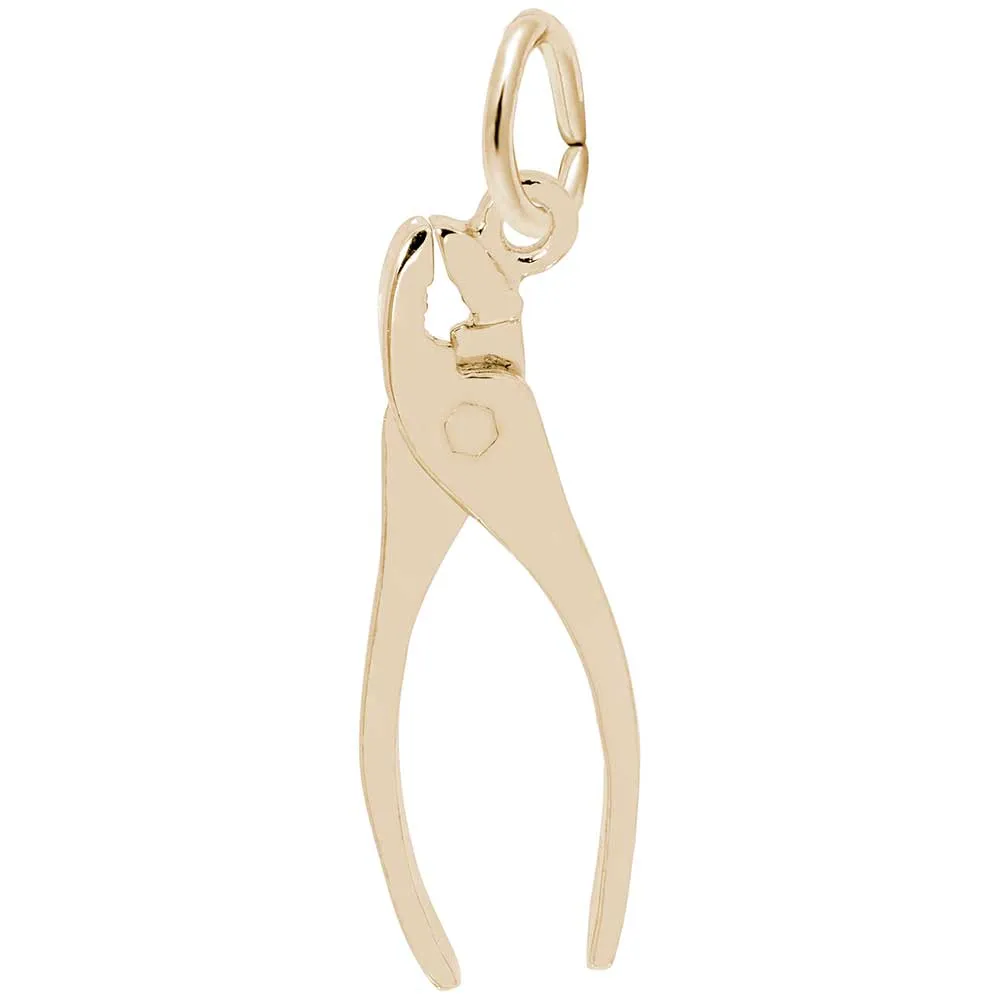 Rembrandt Charms - New Pliers Charm - 0582