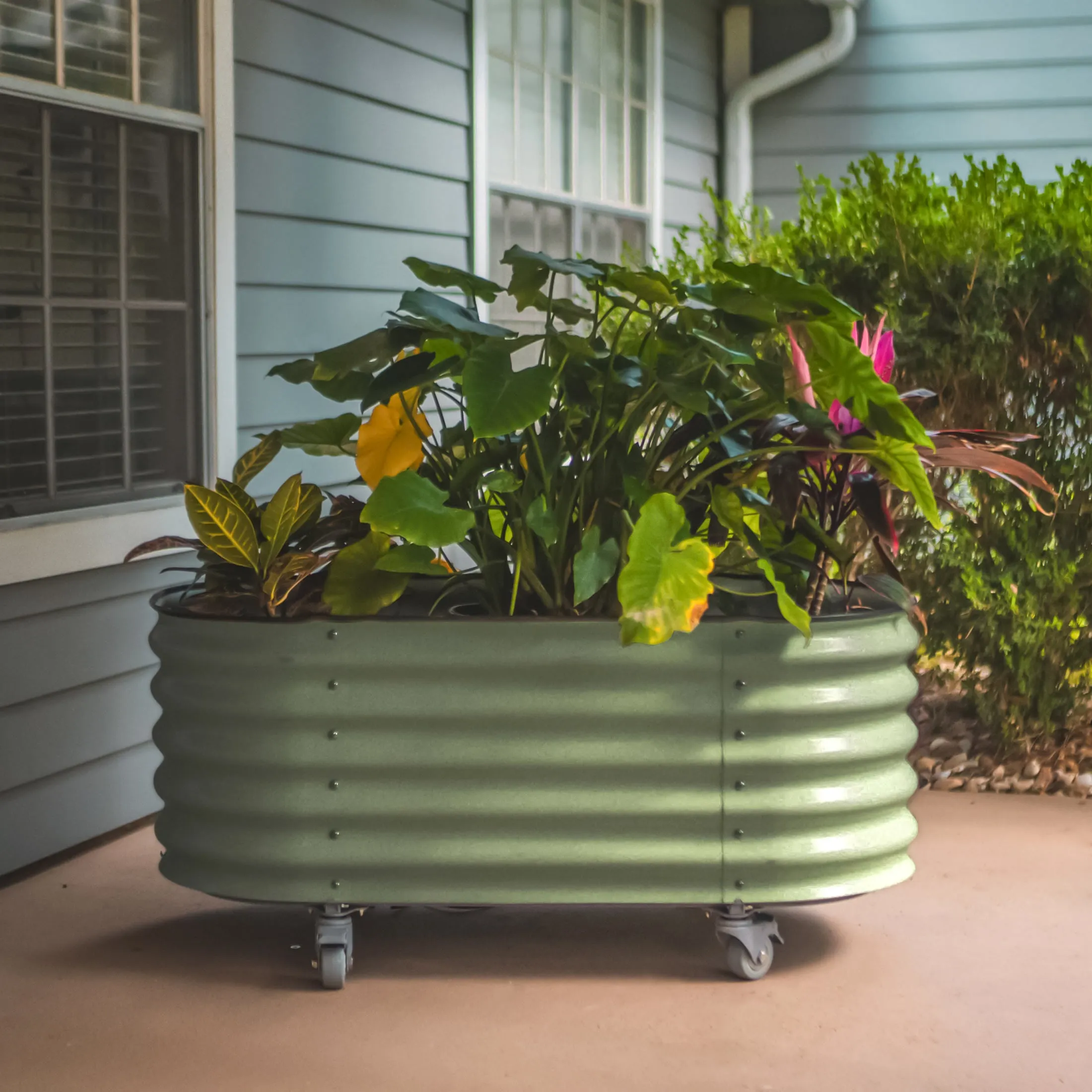 Self Watering Rolling Garden Bed