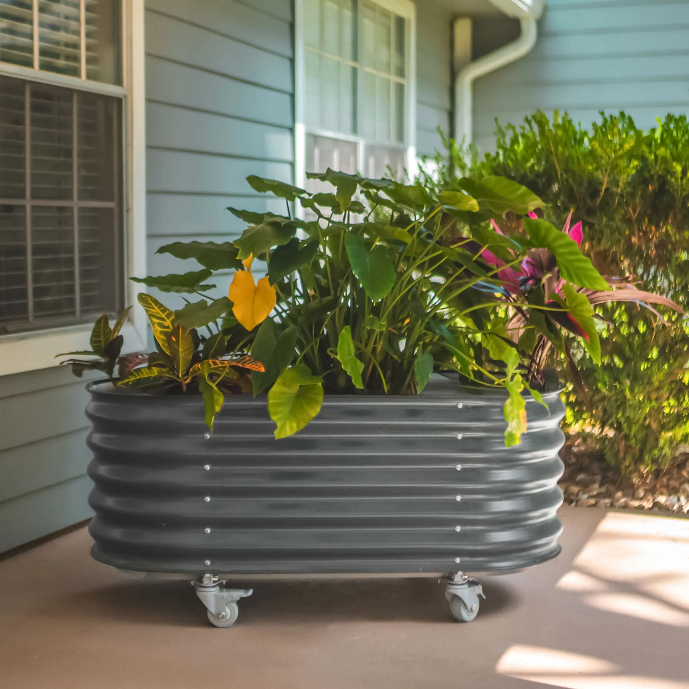 Self Watering Rolling Garden Bed