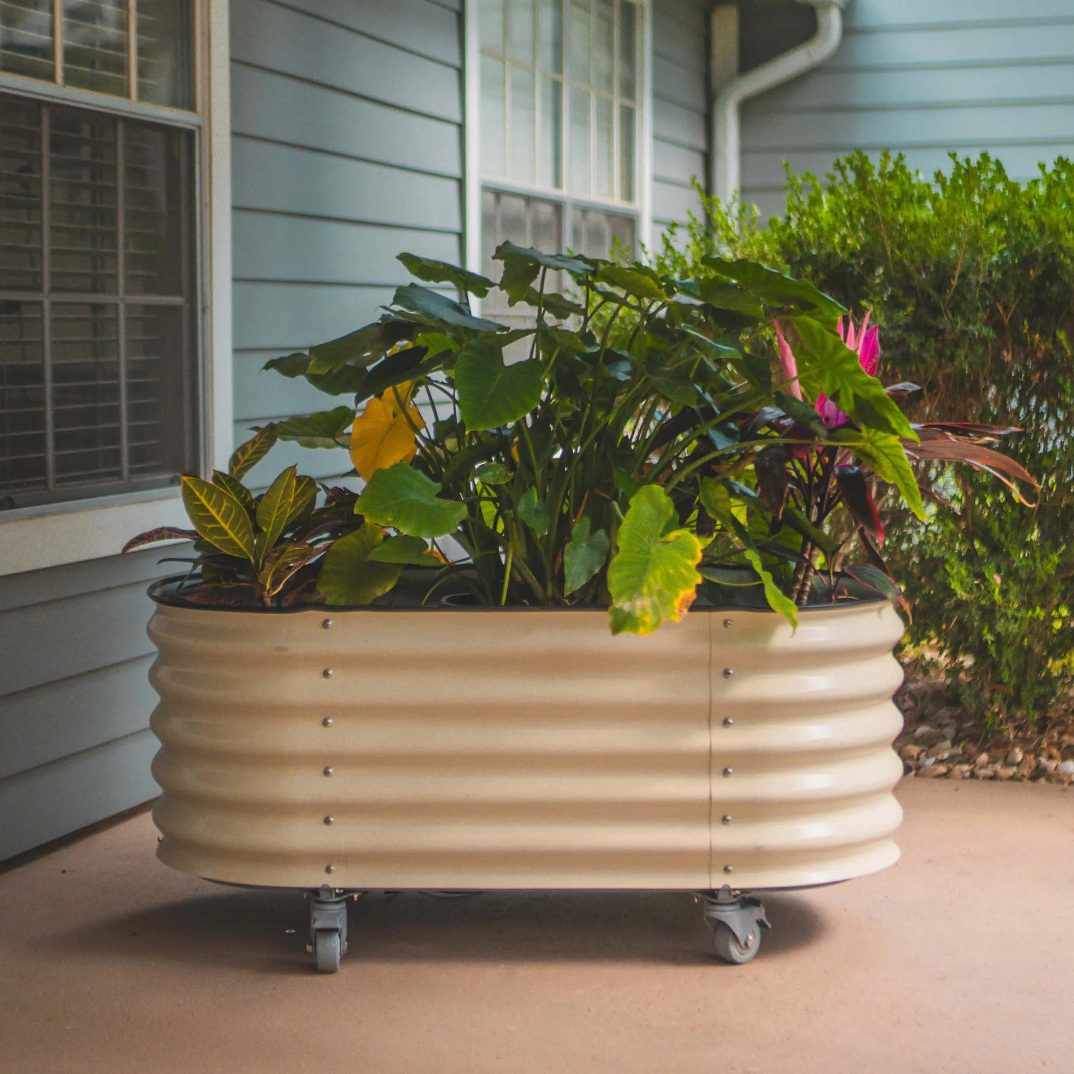 Self Watering Rolling Garden Bed