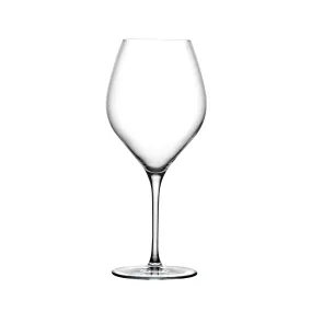 Vinifera Set of 2 White Wine Glasses 600 cc