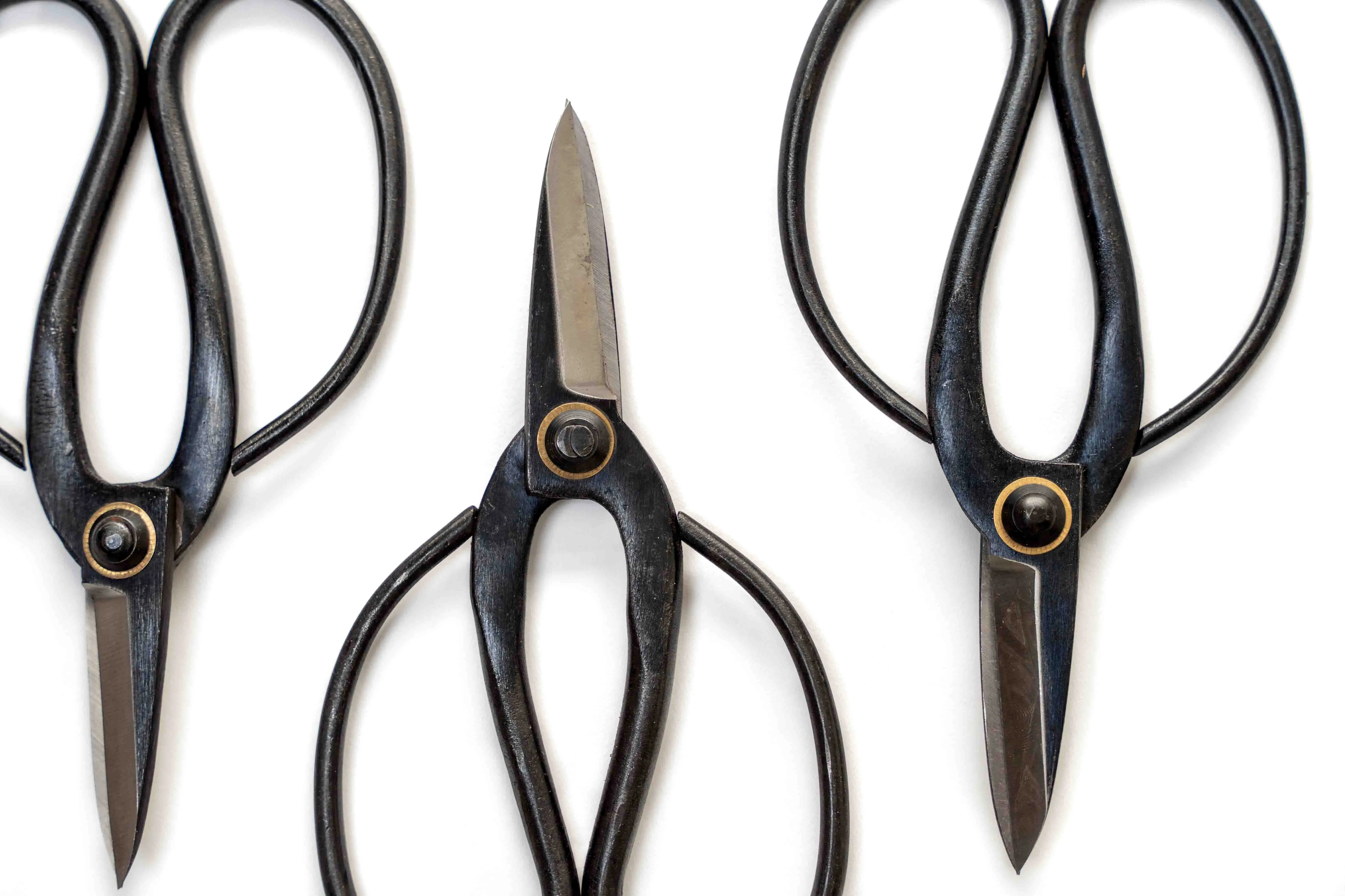 Wholesale - Bonsai-Style Pruning Scissors for Tillandsia Air Plants