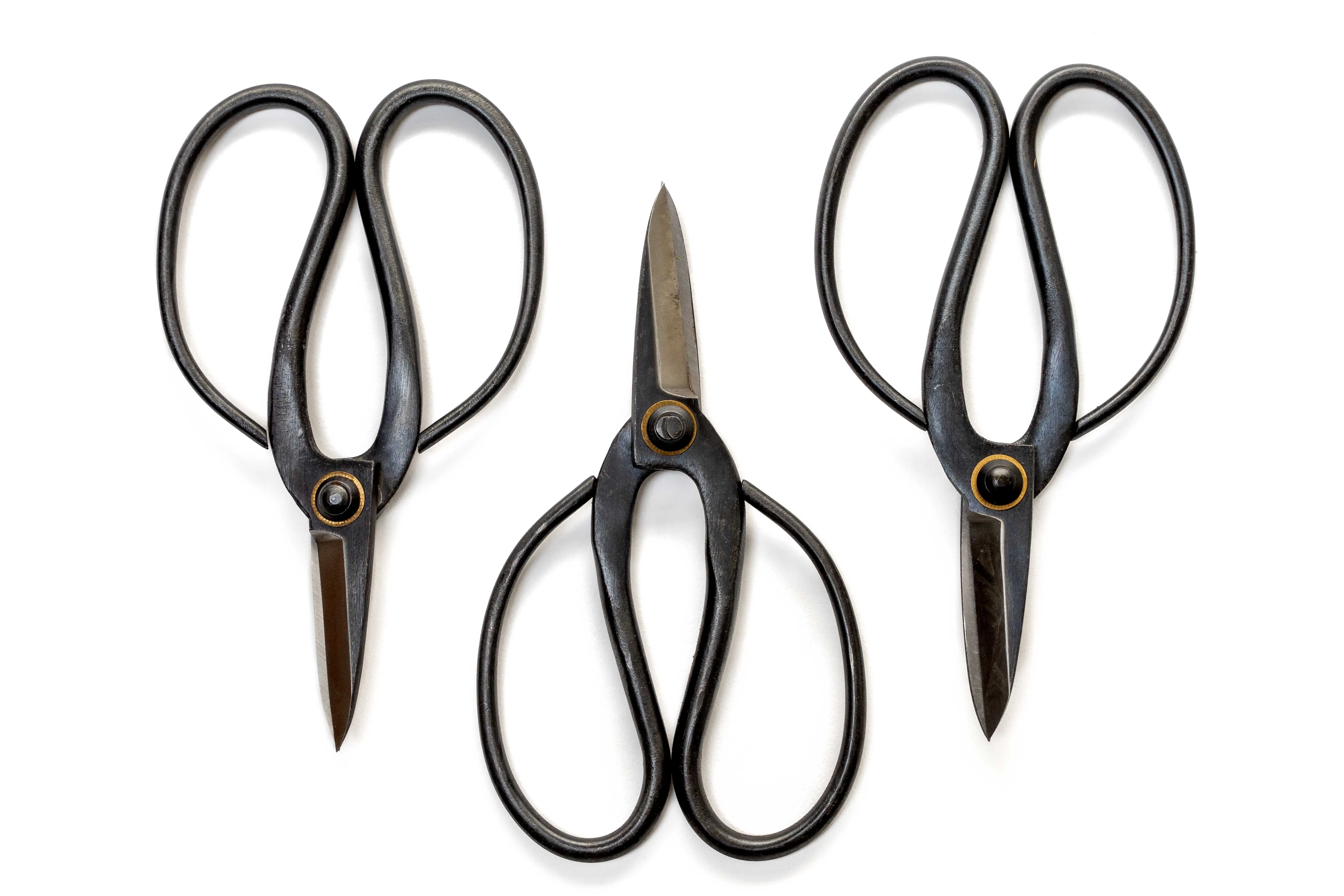 Wholesale - Bonsai-Style Pruning Scissors for Tillandsia Air Plants