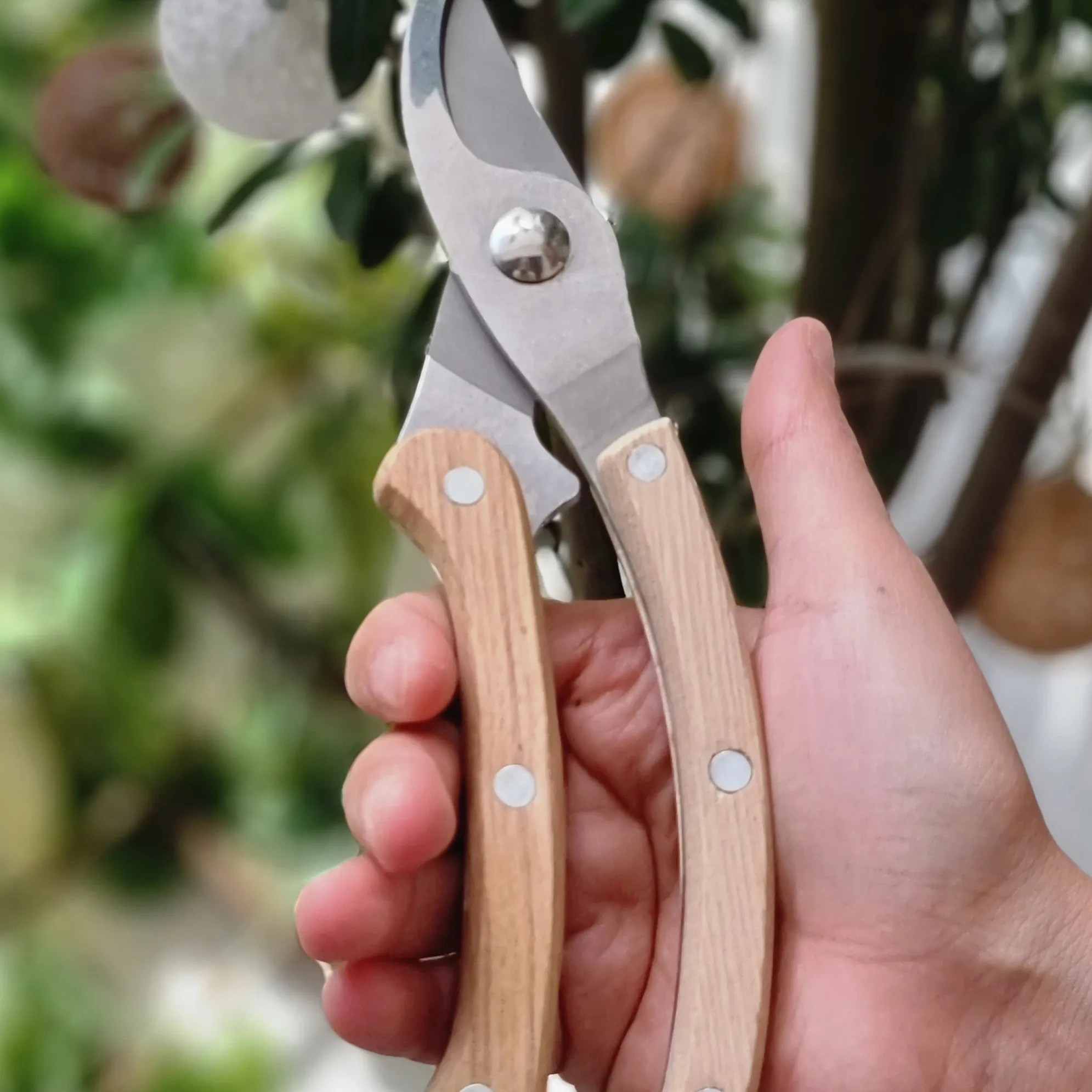 Wood Handle Plant Pruning Shears